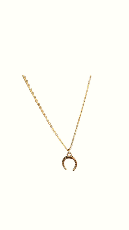 Golden Horseshoe Necklace